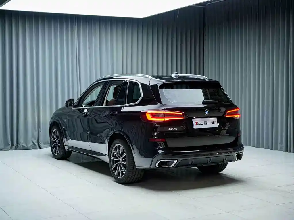 BMW X5 (Import) — миниатюра 11