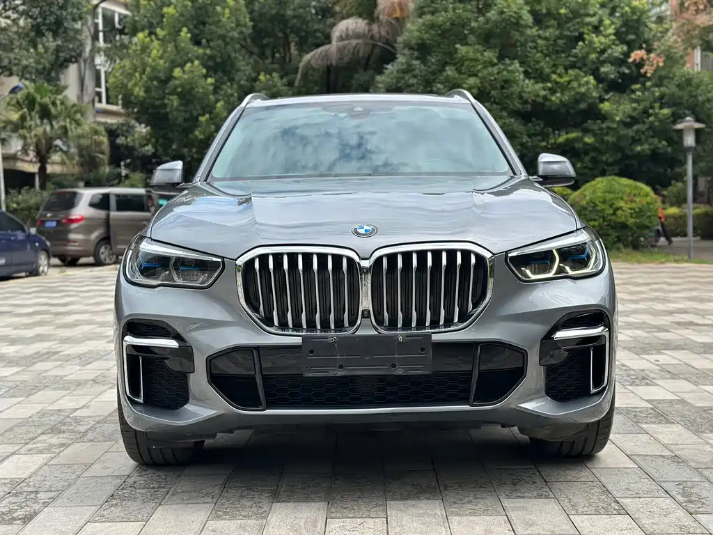 BMW X5 — миниатюра 2