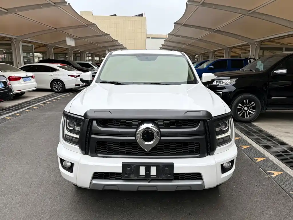 Great Wall King Kong Pao — миниатюра 2