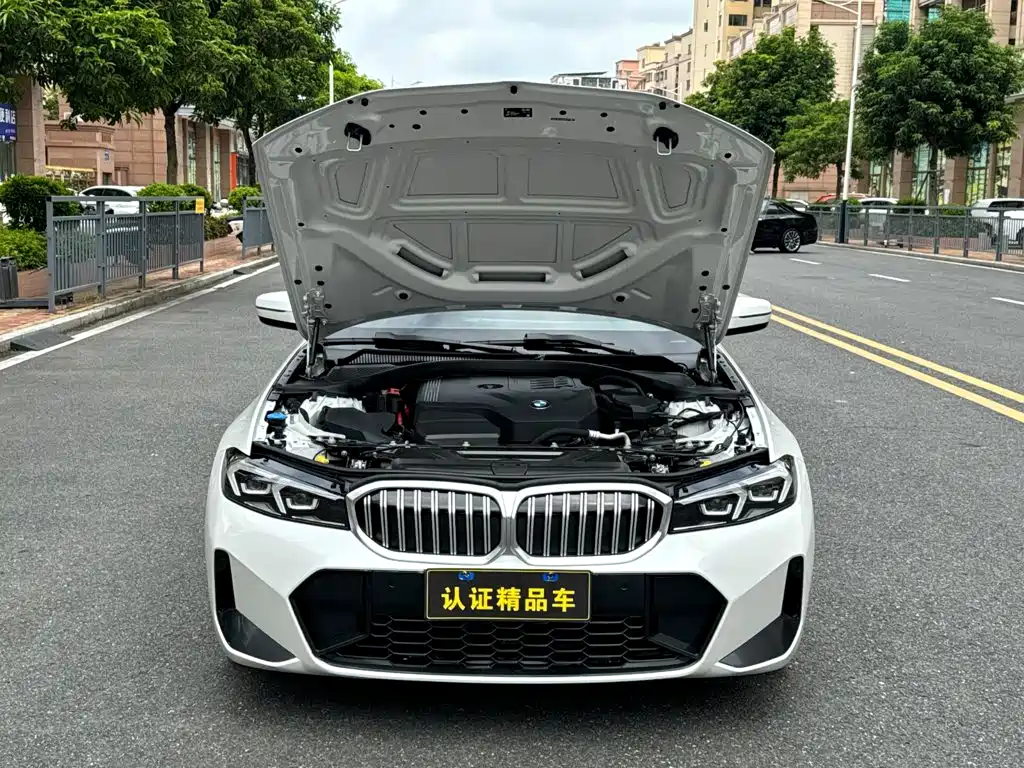BMW 3 Series — миниатюра 5