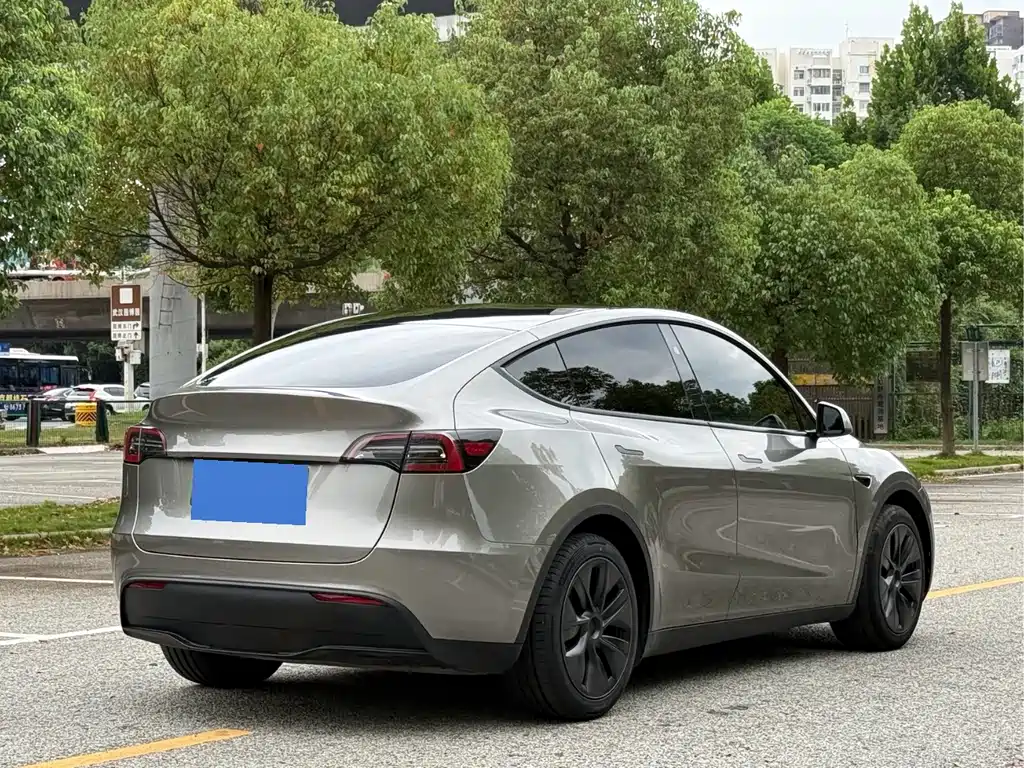 Tesla Model Y — миниатюра 4