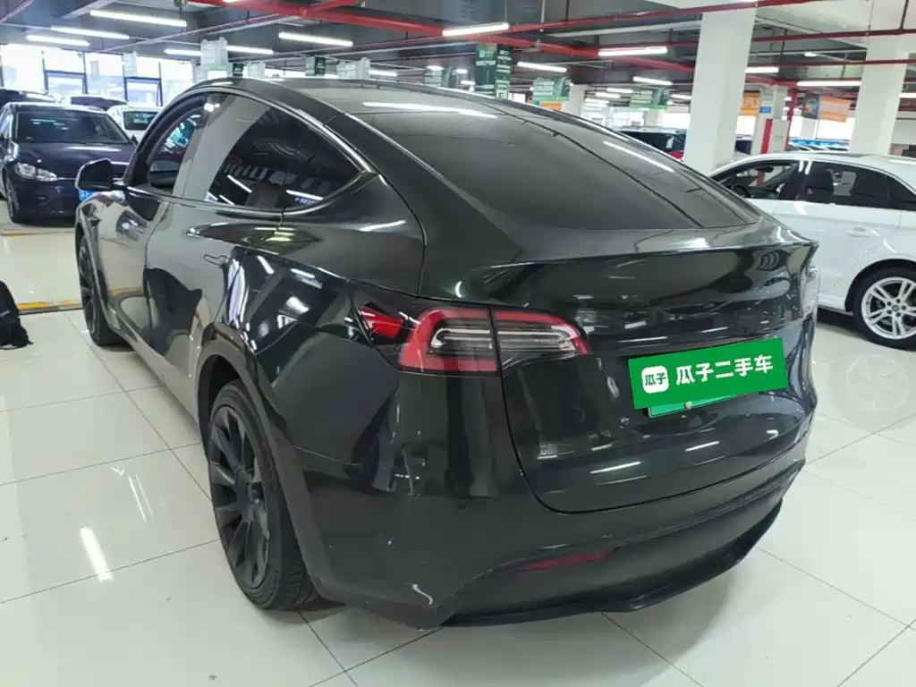 Tesla Model Y — миниатюра 5