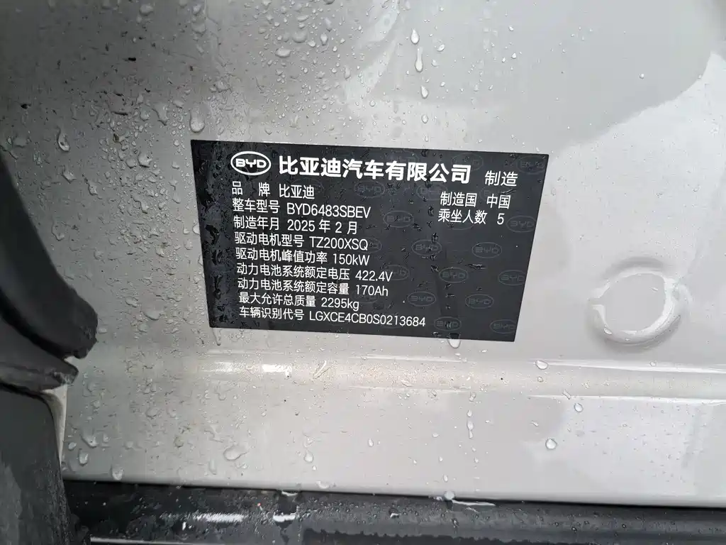 BYD SONGJIANG NEW ENERGY