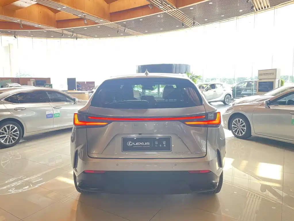 Lexus NX New Energy — миниатюра 6