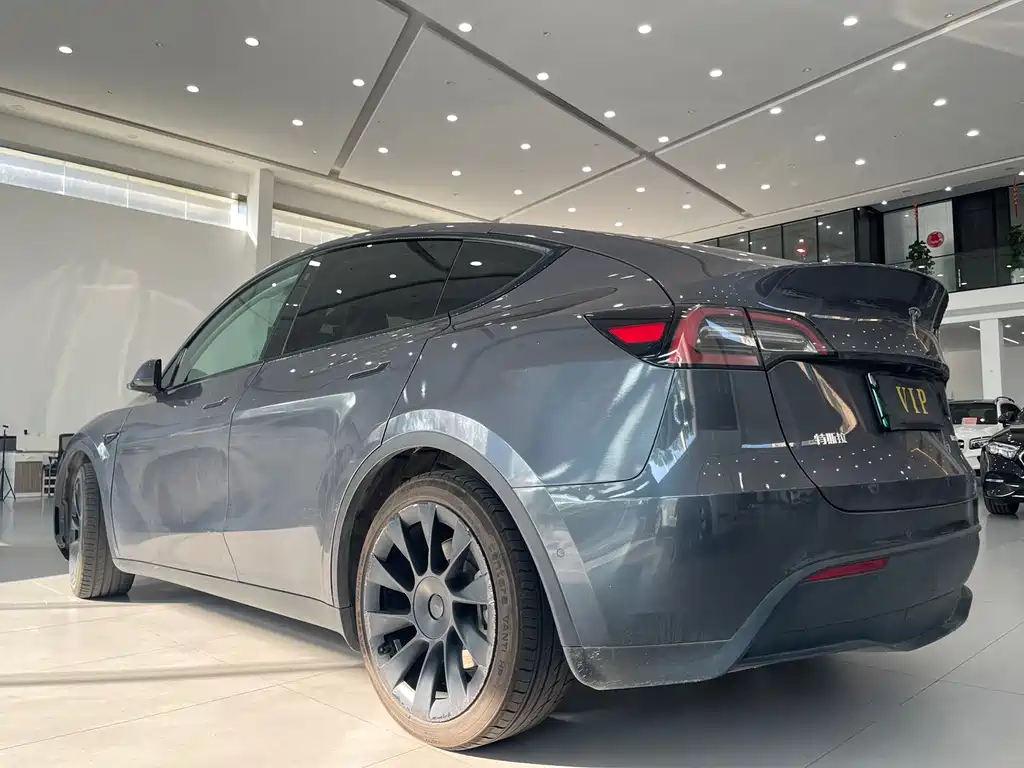 Tesla Model Y — миниатюра 4