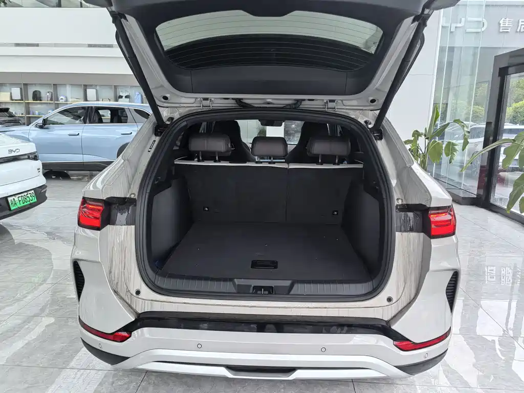 BYD SONGJIANG NEW ENERGY