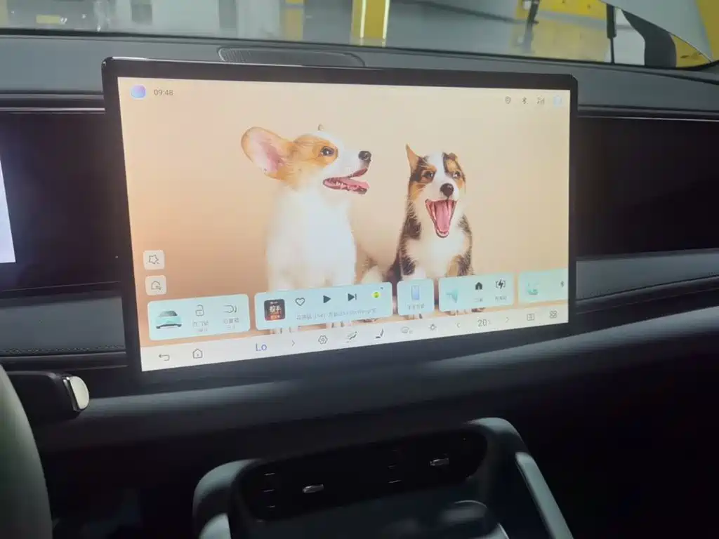 BYD Haisi 06 — миниатюра 13