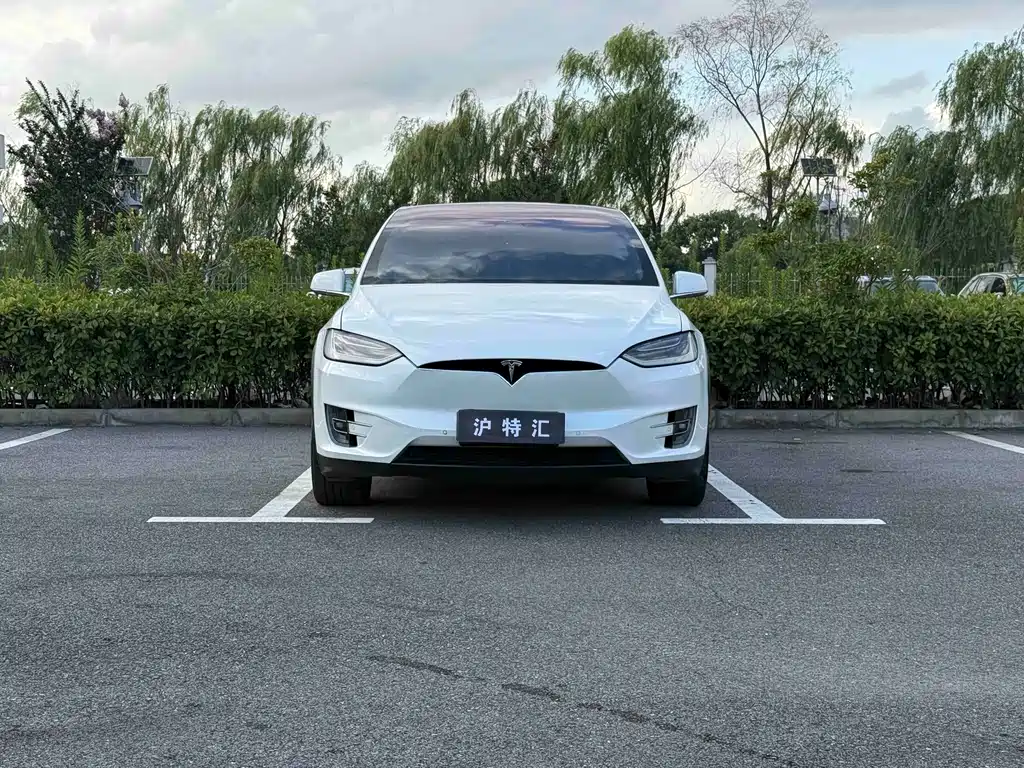 Tesla Model X — миниатюра 2