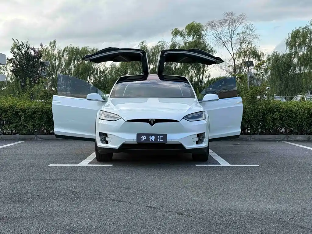Tesla Model X — миниатюра 4