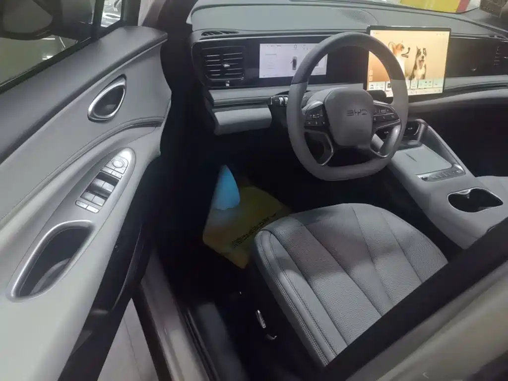 BYD Haisi 06 — миниатюра 16
