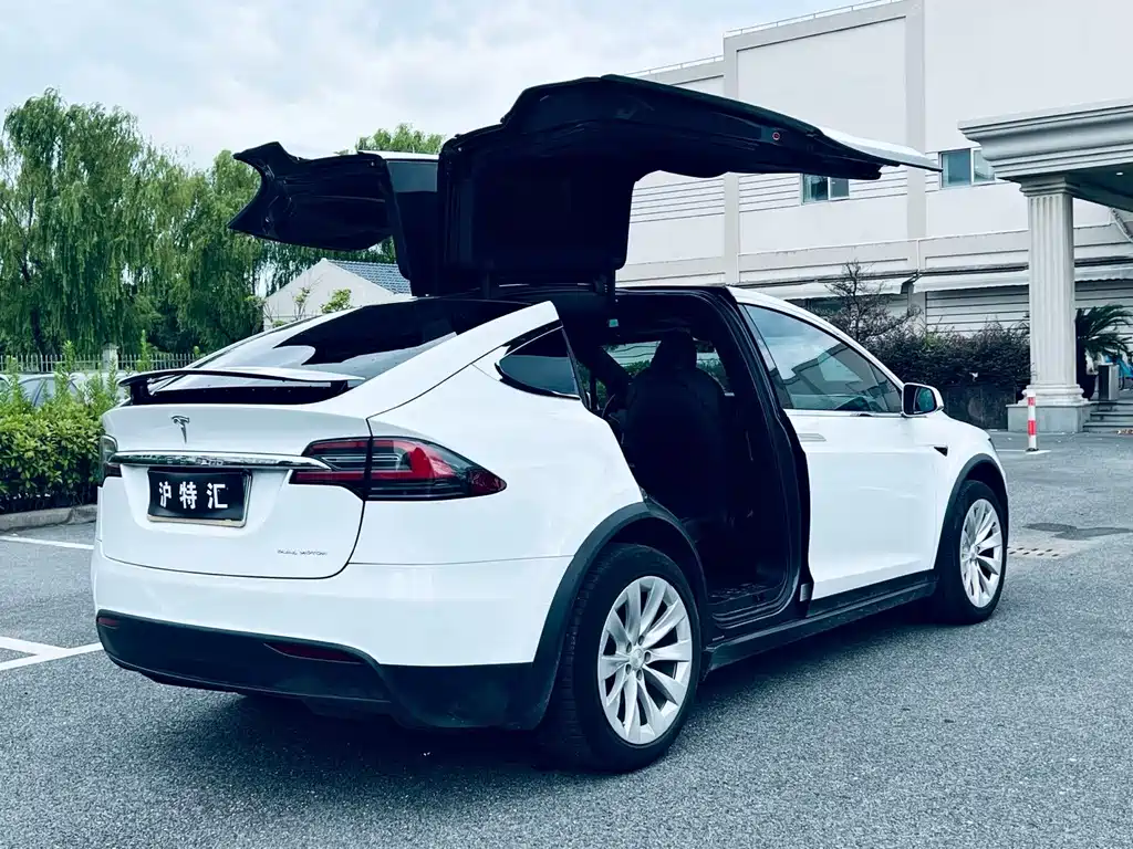 Tesla Model X — миниатюра 8