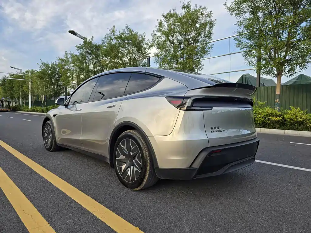 Tesla Model Y L — миниатюра 4