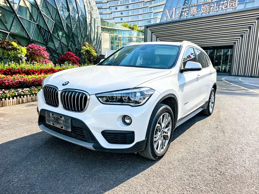 BMW X1 2018 sDrive20Li Lead