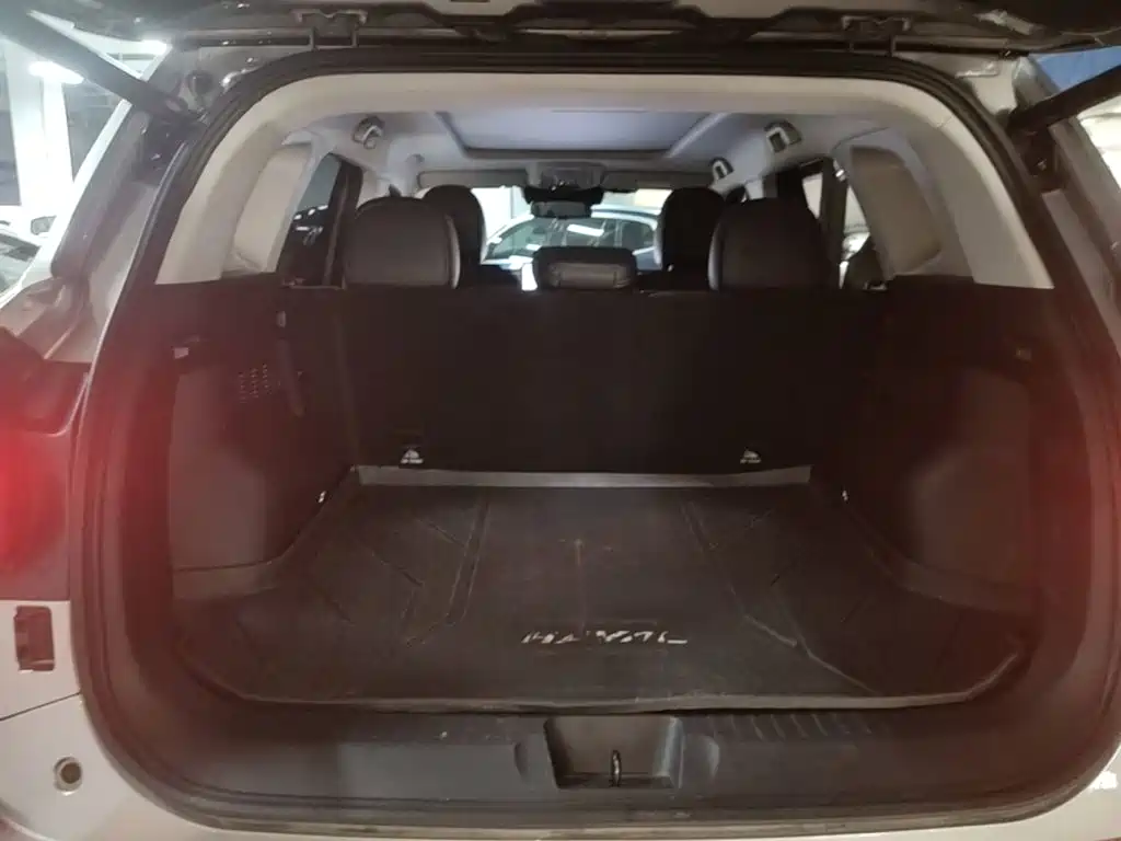 Haval Плюс новая энергия. — миниатюра 19