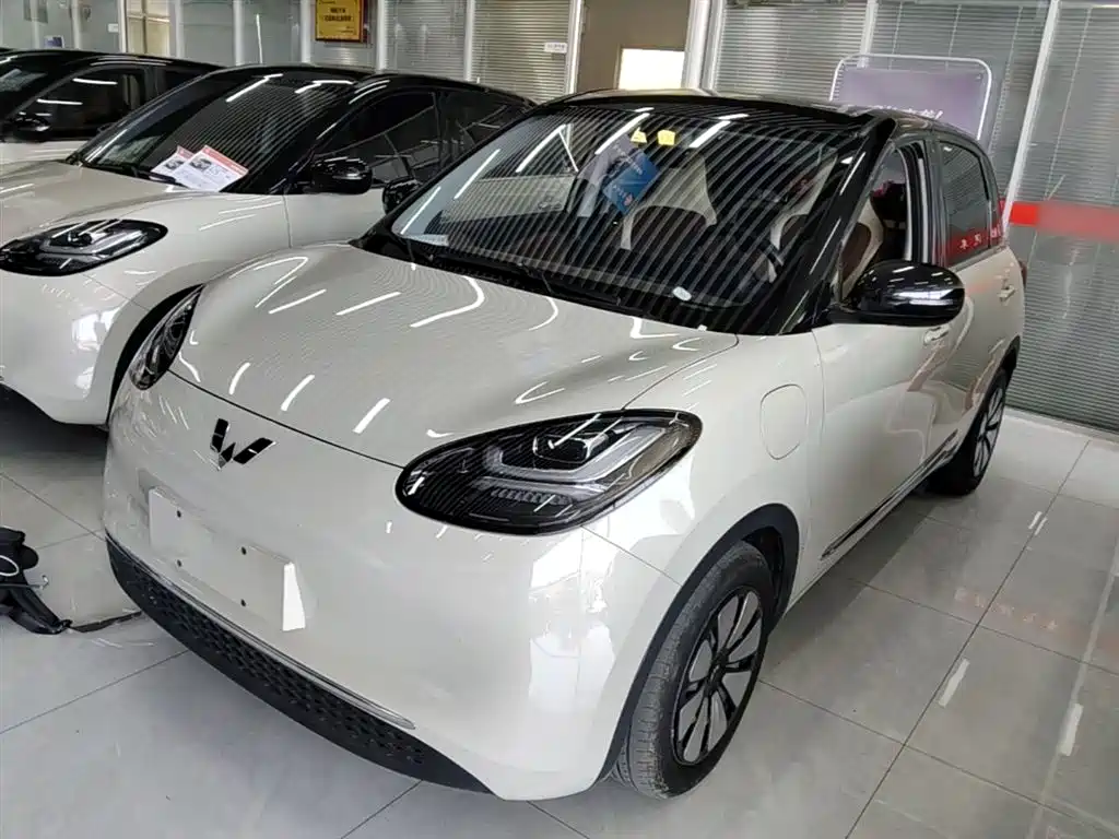 Wuling Bingo 2024