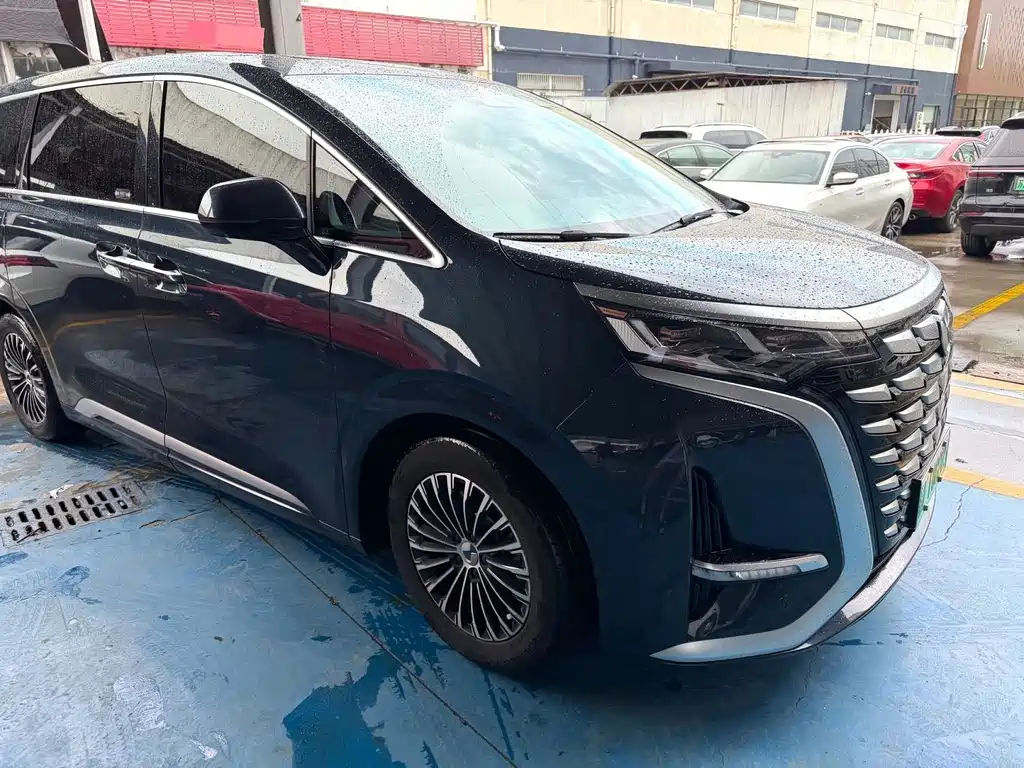 Denza Denza D9 — миниатюра 3