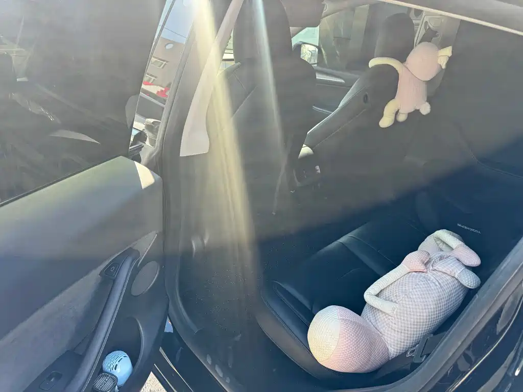 Tesla Model Y — миниатюра 5