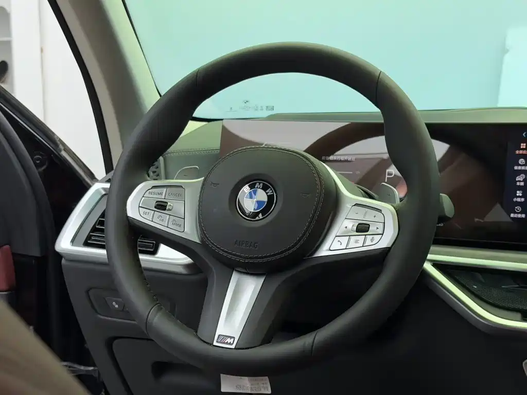 BMW X5 — миниатюра 13
