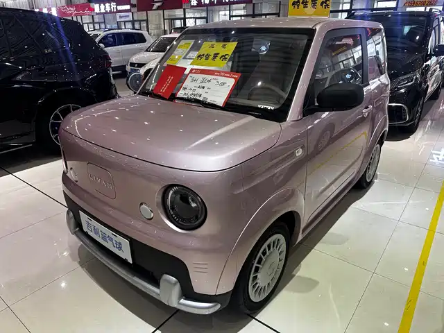 2026 Geely LC (Panda)