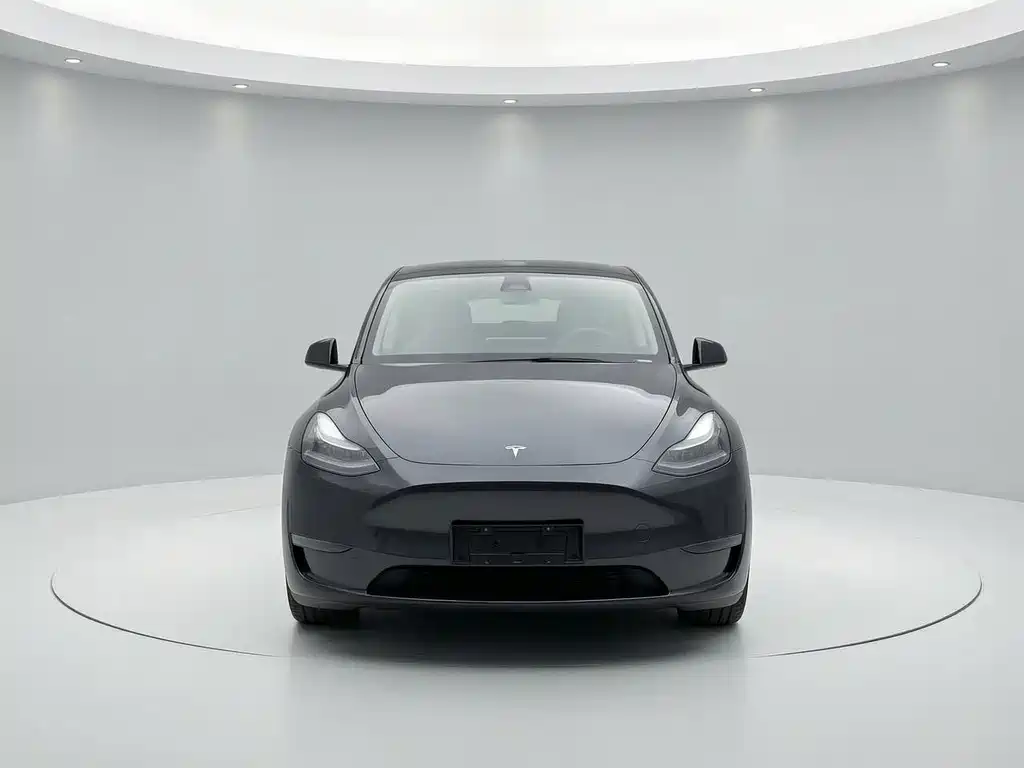Tesla Model Y — миниатюра 2