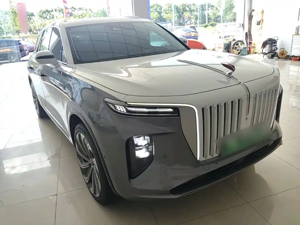 Hongqi Hongqi E-HS9 — миниатюра 4