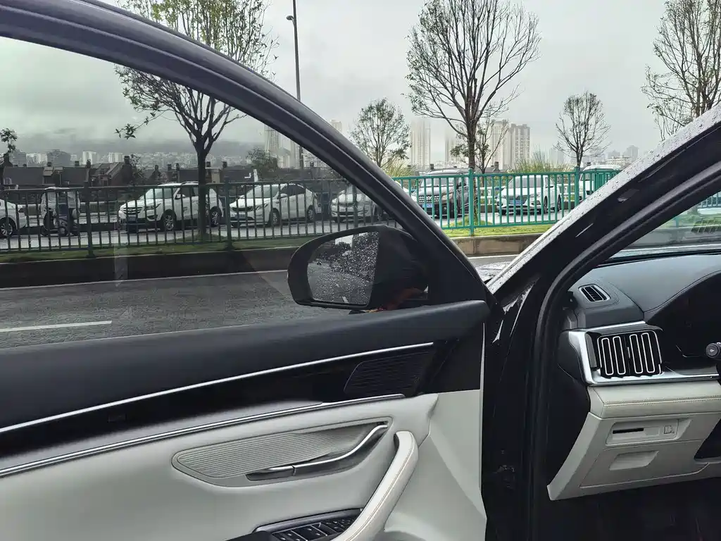 BYD PLUS New Energy — миниатюра 9