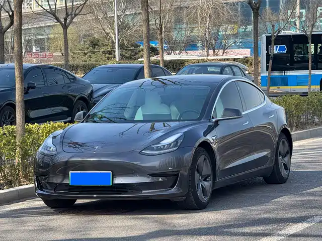 TESLA MODEL 3 2021