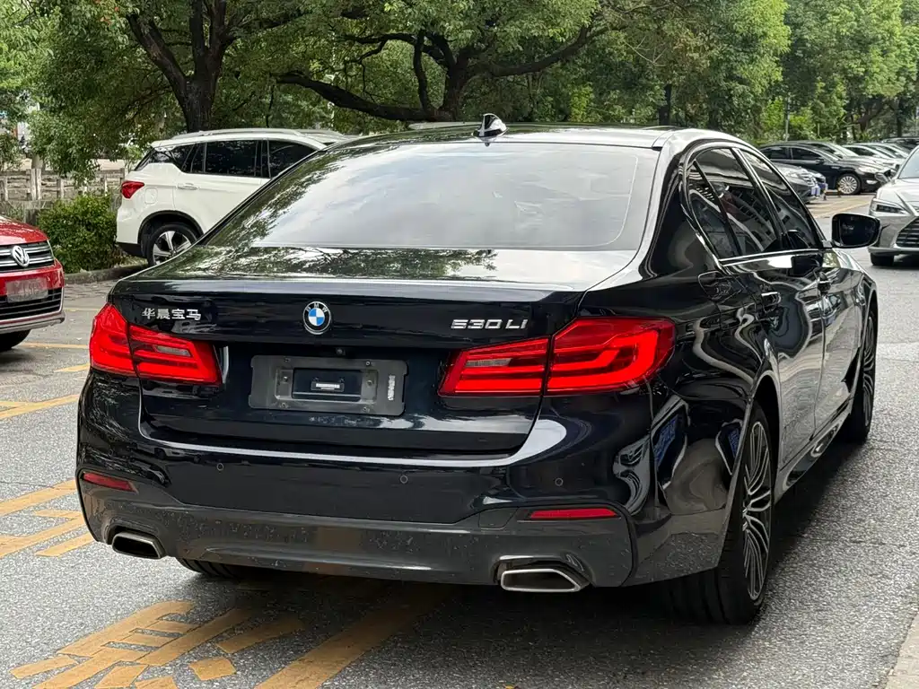 BMW 5 Series — миниатюра 5
