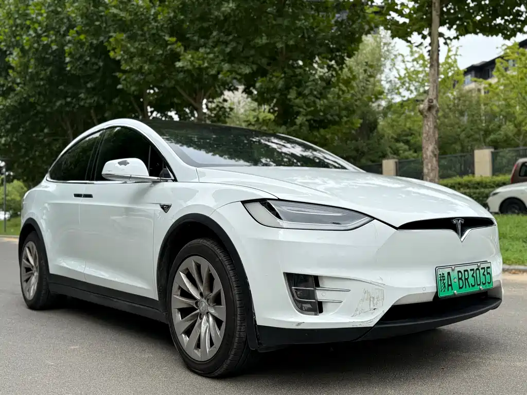 Tesla Model X — миниатюра 3