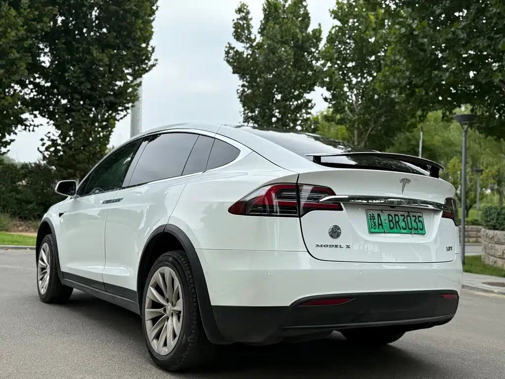 Tesla Model X — миниатюра 7