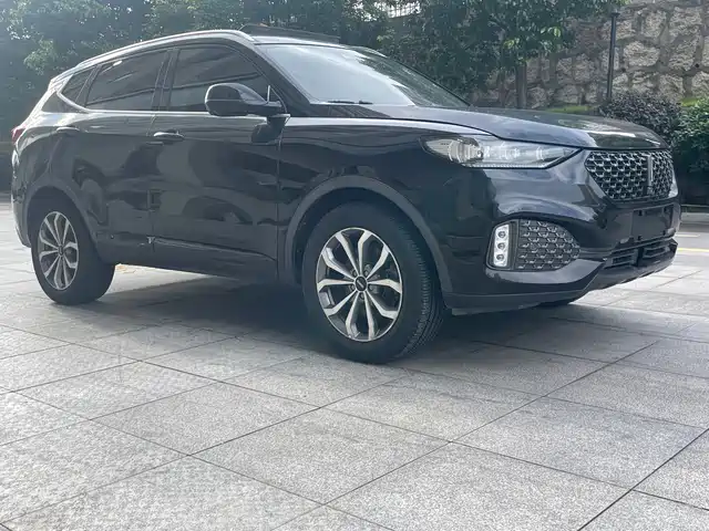 2020 Wey VV6