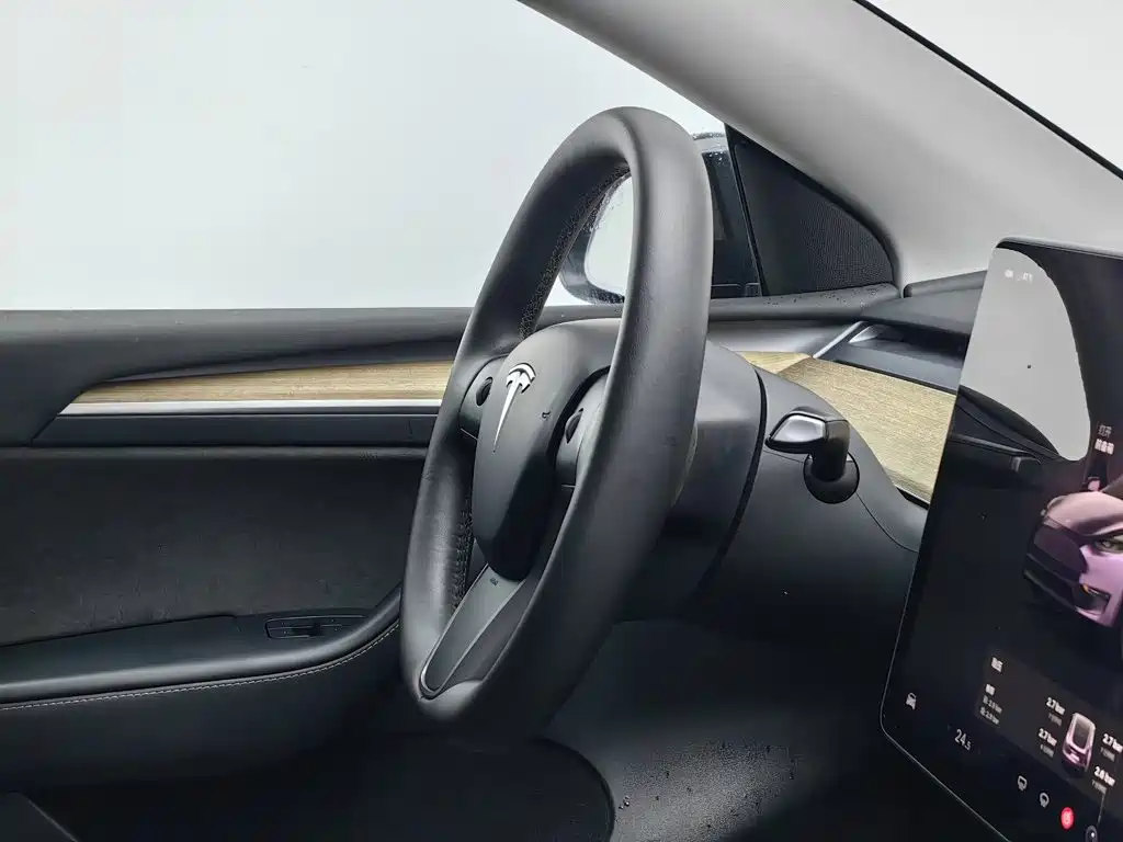 Tesla Model Y — миниатюра 22