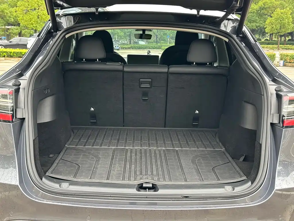 Tesla Model Y — миниатюра 22