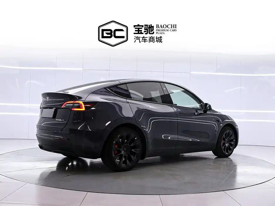 Tesla Model Y — миниатюра 3