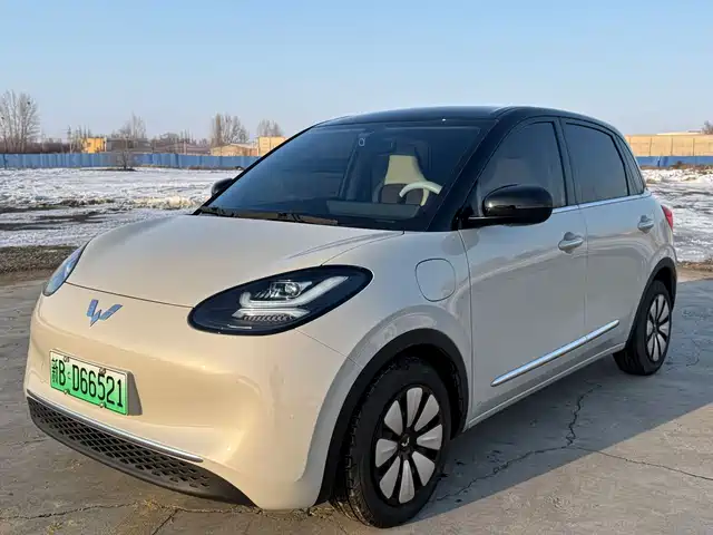 WULING WULING BINGGUO 2024