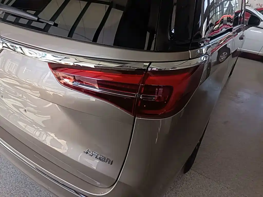 Buick GL8 — миниатюра 8