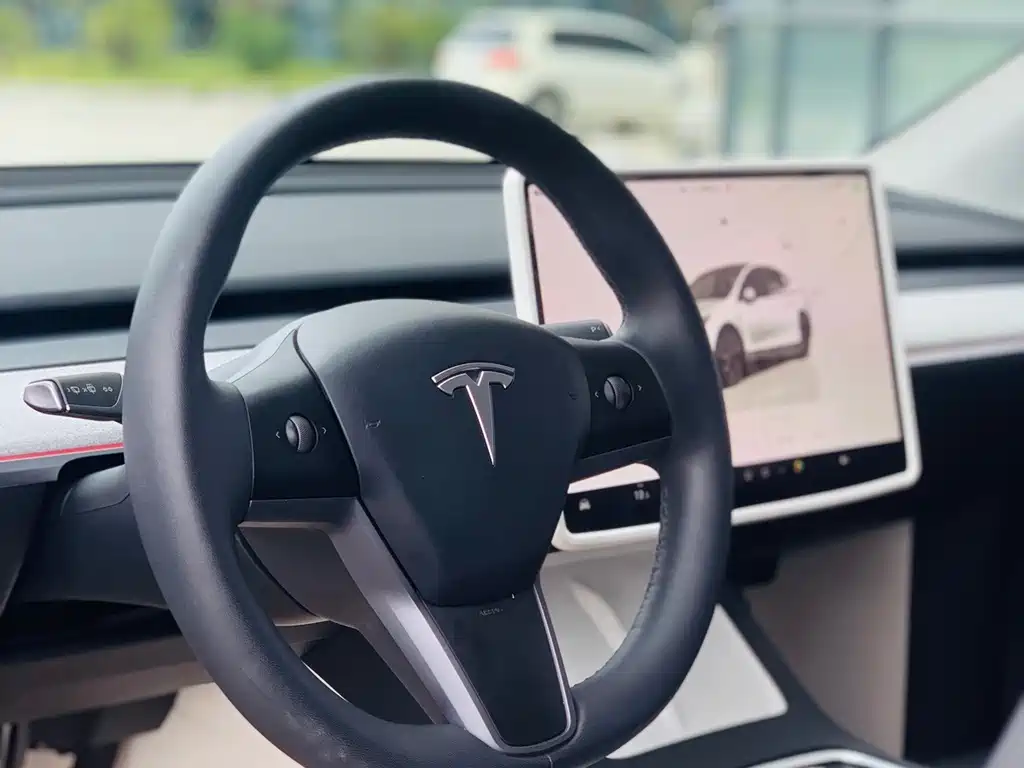 Tesla Model Y — миниатюра 15