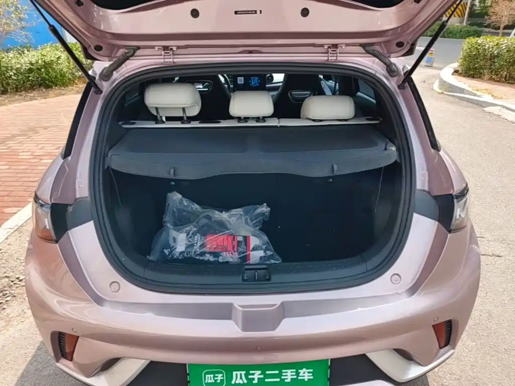 BYD Dolphin 2023 — фото 18