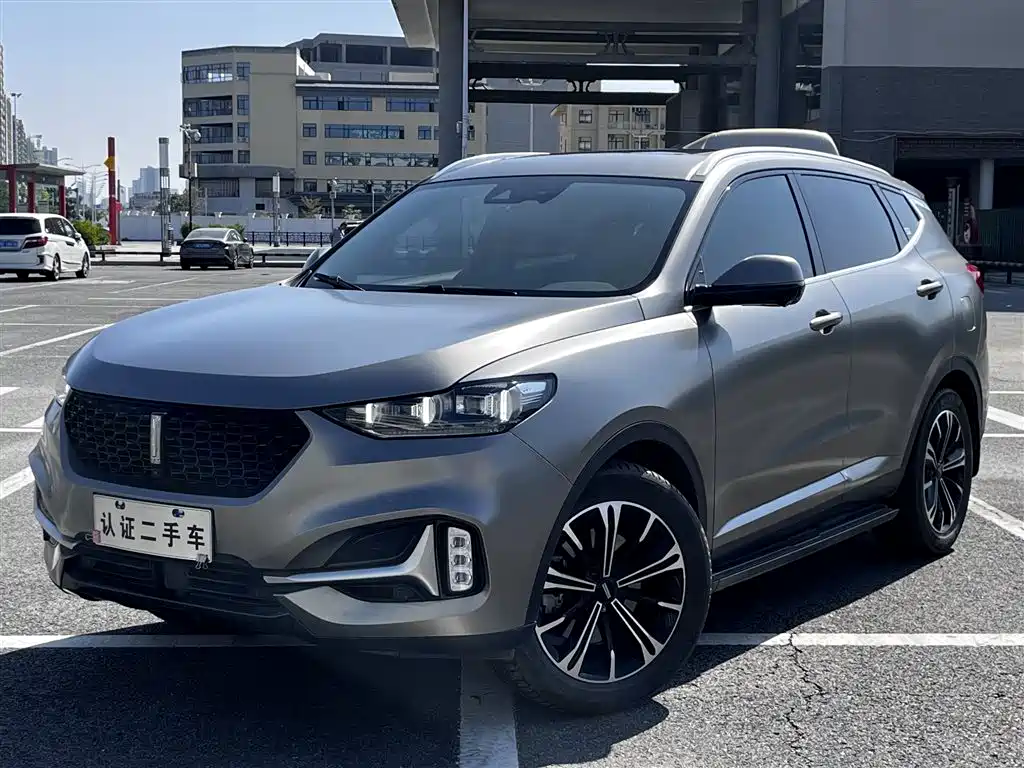 Wey Wey VV6