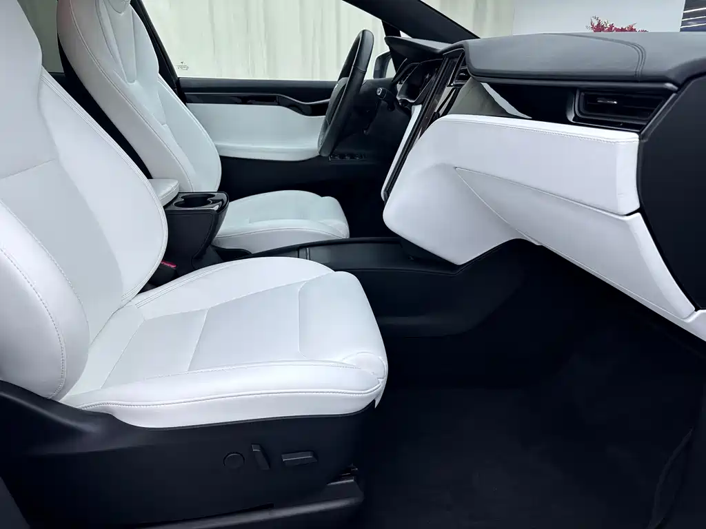 Tesla Model X — миниатюра 9