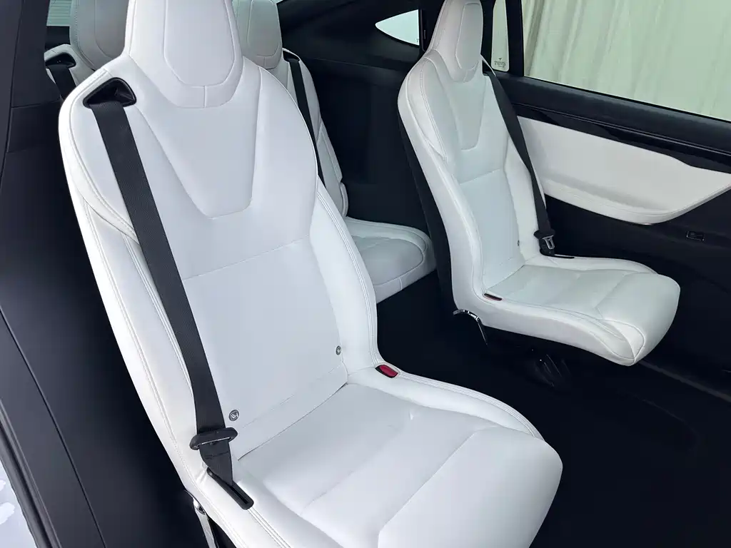 Tesla Model X — миниатюра 12