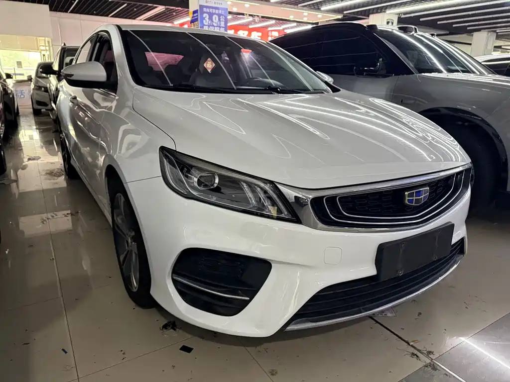 GEELY AUTOMOBILE BINRUI