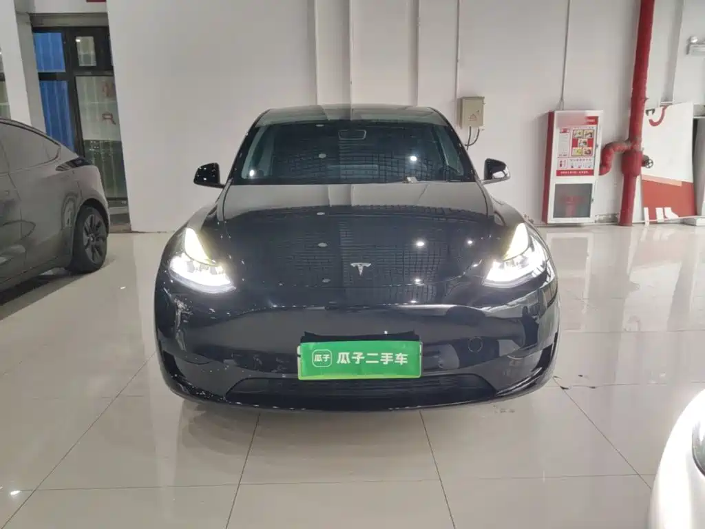 Tesla Model Y — миниатюра 3