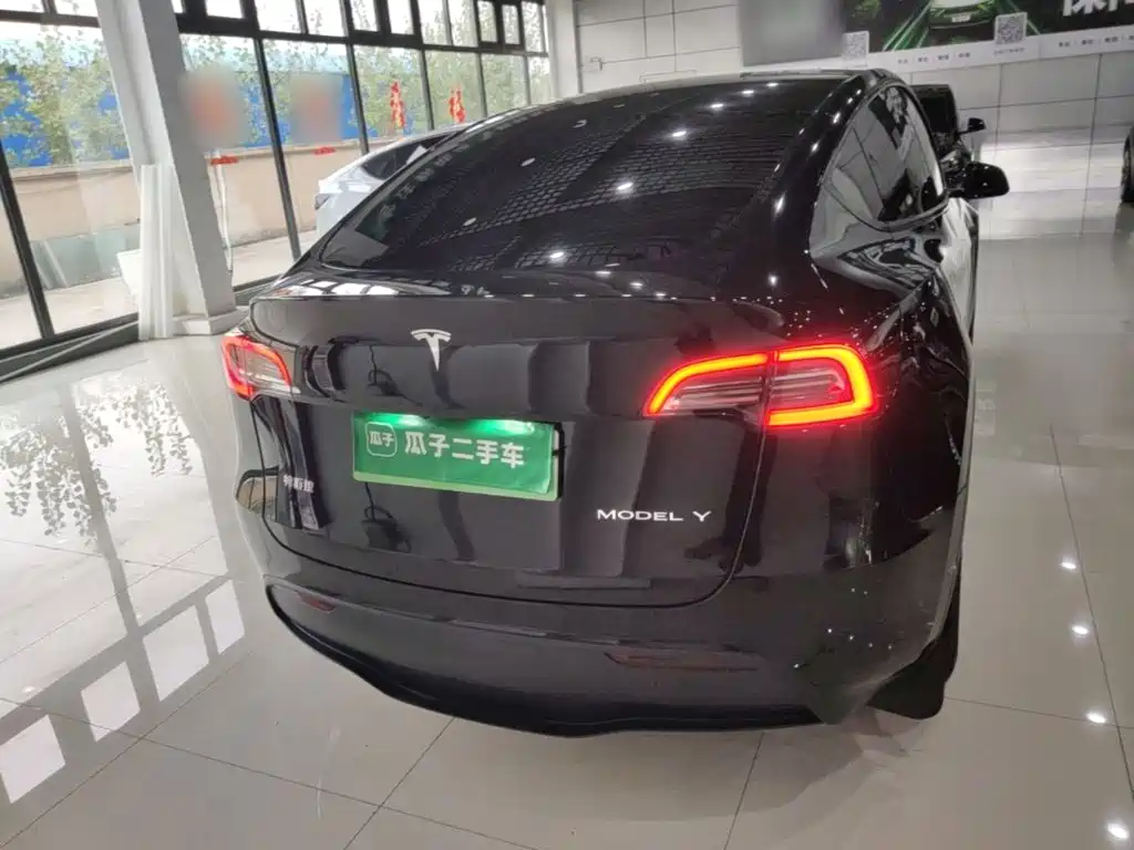 Tesla Model Y — миниатюра 6