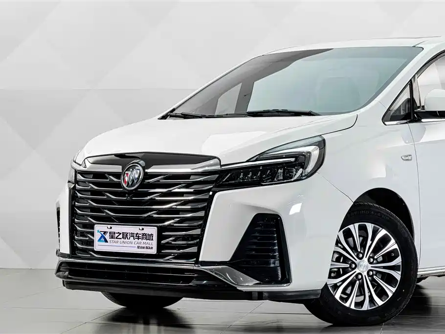 Buick GL8 — миниатюра 3