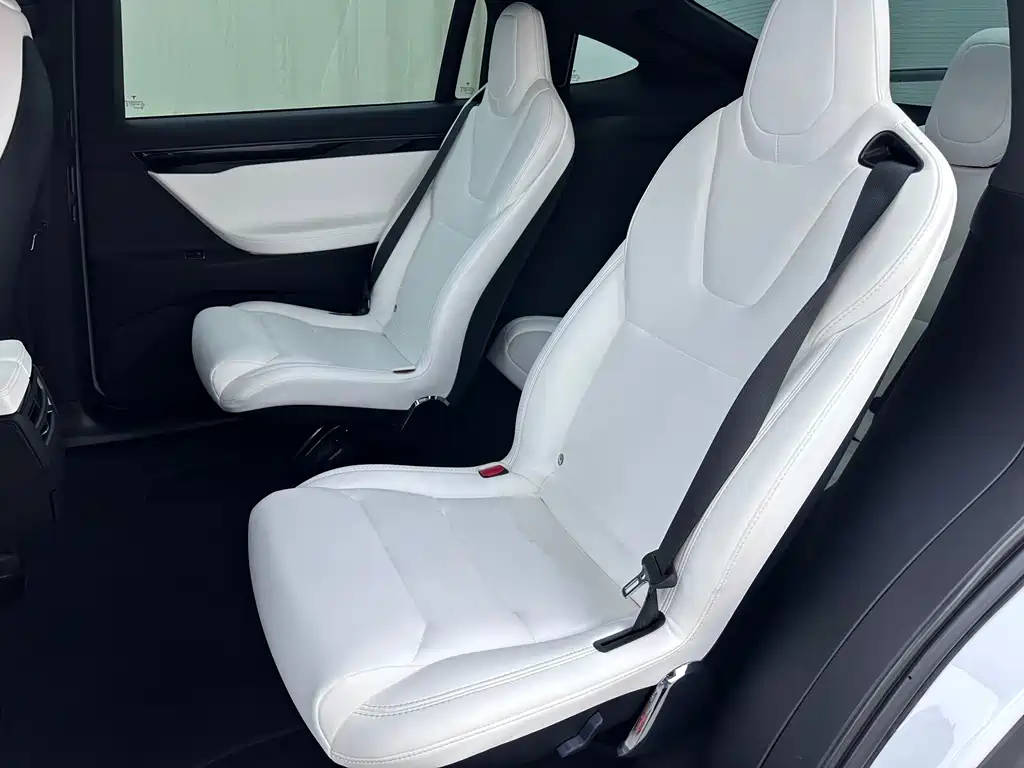 Tesla Model X — миниатюра 15