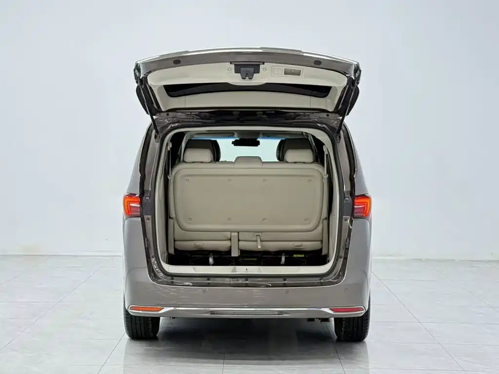 Buick GL8 — миниатюра 19