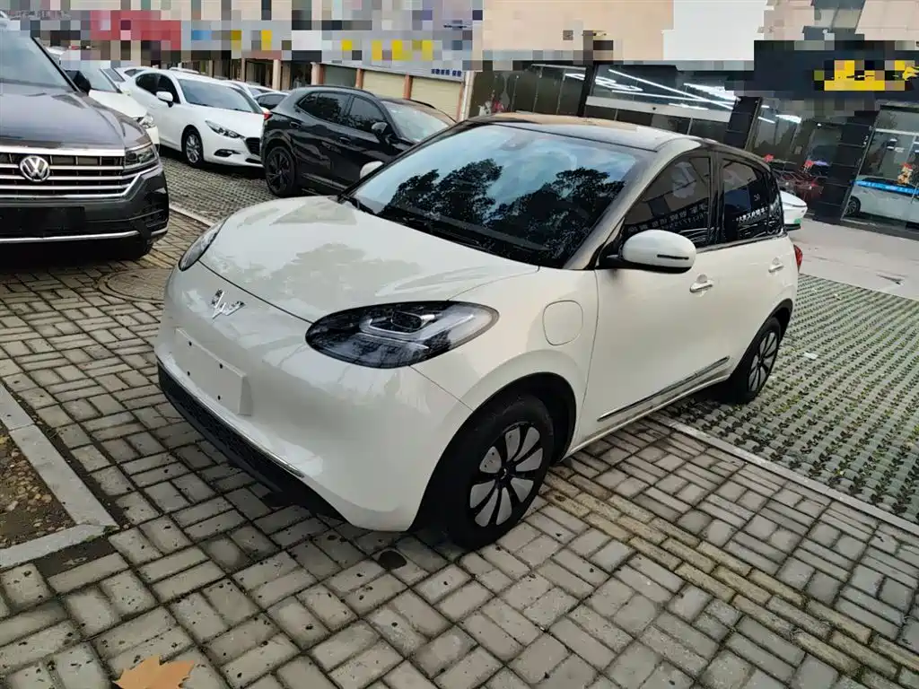 Wuling Binguo 2023 333km Enjoy +