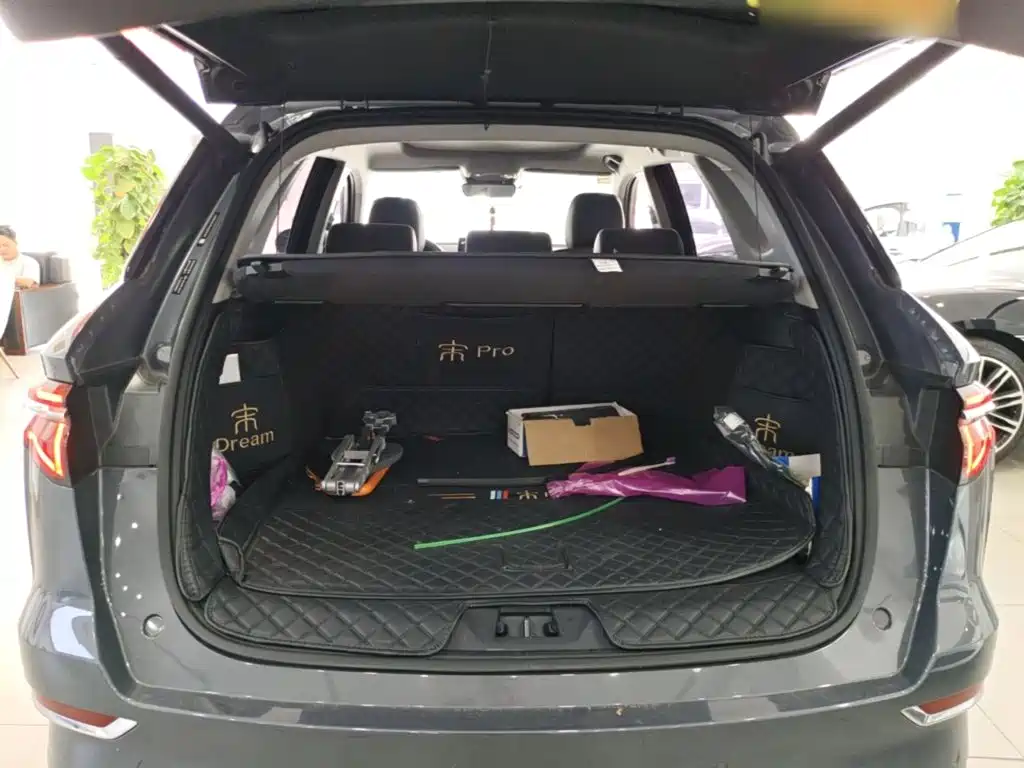 BYD Pro New Energy — миниатюра 19