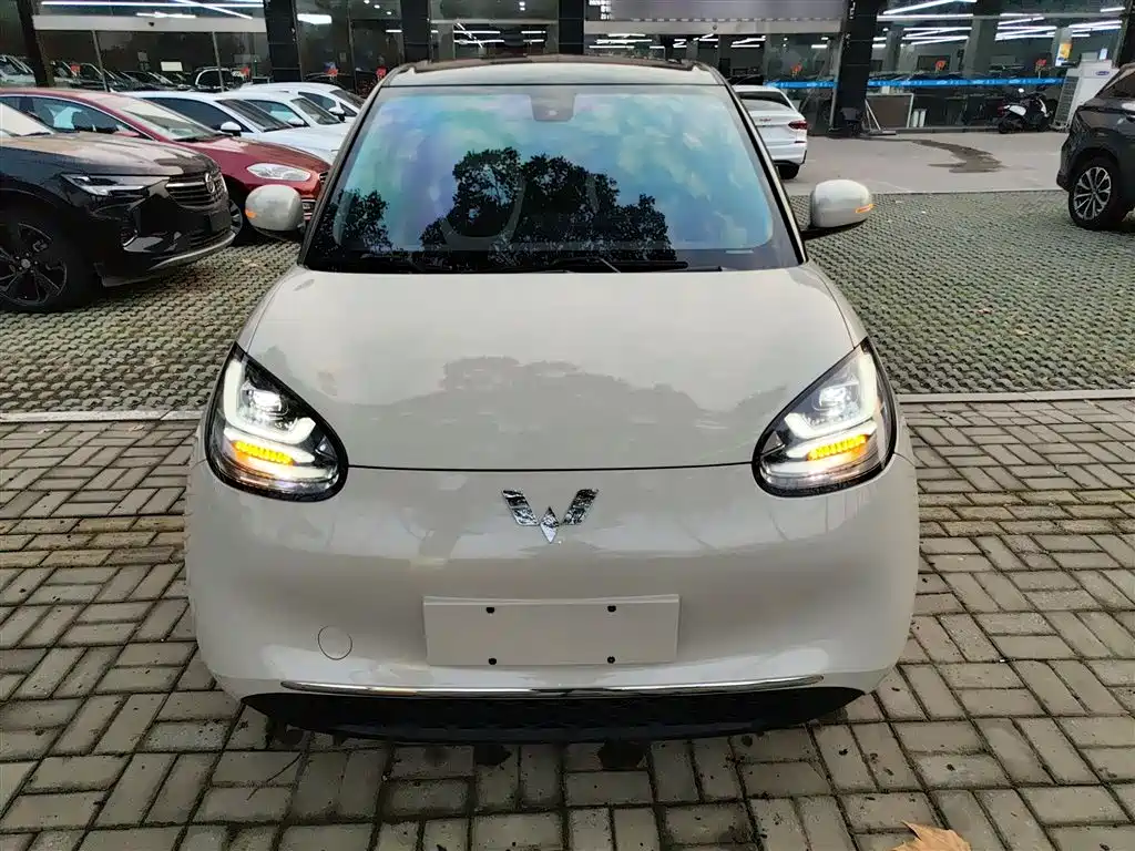 Wuling Binguo 2023 333km Enjoy +